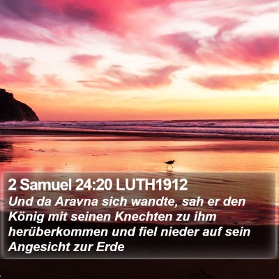 2 Samuel 24:20 LUTH1912 Bible Verse Image