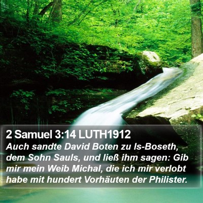 2 Samuel 3:14 LUTH1912 Bible Verse Image