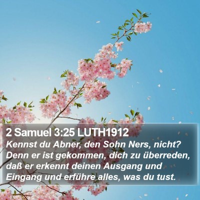 2 Samuel 3:25 LUTH1912 Bible Verse Image