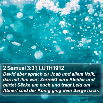 2 Samuel 3:31 LUTH1912 Bible Verse Image
