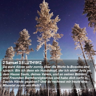 2 Samuel 3:8 LUTH1912 Bible Verse Image
