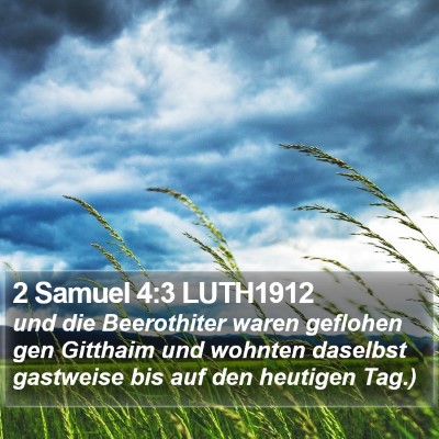 2 Samuel 4:3 LUTH1912 Bible Verse Image