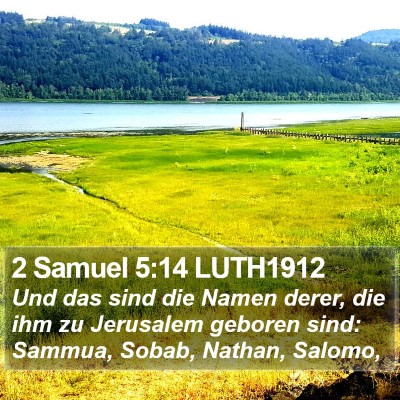 2 Samuel 5:14 LUTH1912 Bible Verse Image