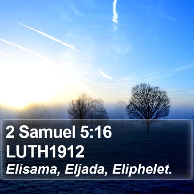2 Samuel 5:16 LUTH1912 Bible Verse Image