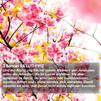 2 Samuel 5:6 LUTH1912 Bible Verse Image
