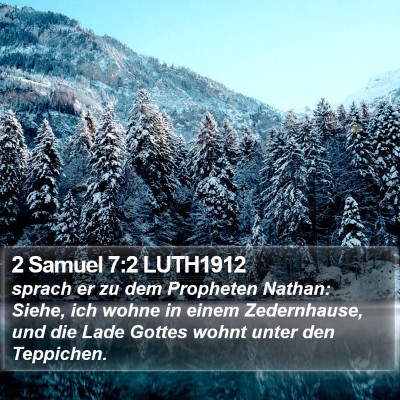2 Samuel 7:2 LUTH1912 Bible Verse Image