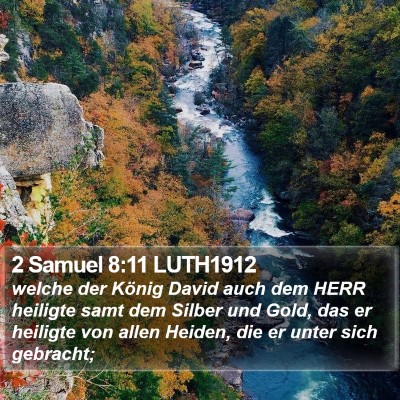 2 Samuel 8:11 LUTH1912 Bible Verse Image