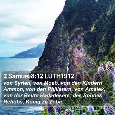 2 Samuel 8:12 LUTH1912 Bible Verse Image