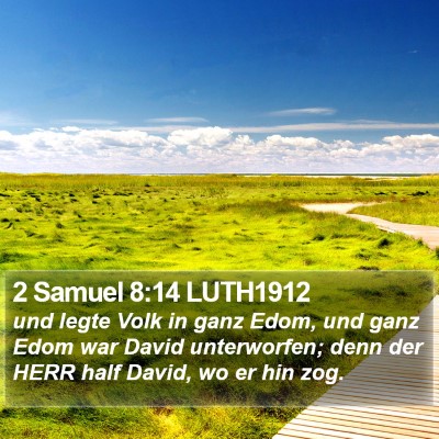 2 Samuel 8:14 LUTH1912 Bible Verse Image
