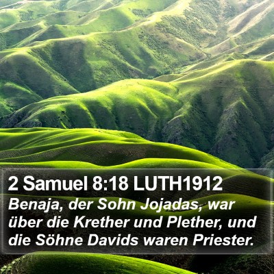 2 Samuel 8:18 LUTH1912 Bible Verse Image