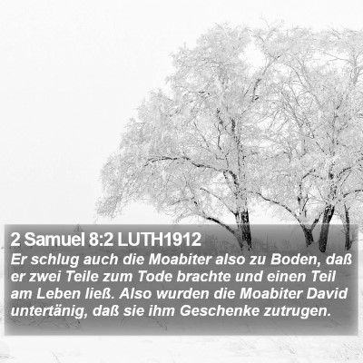 2 Samuel 8:2 LUTH1912 Bible Verse Image