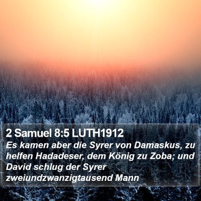 2 Samuel 8:5 LUTH1912 Bible Verse Image
