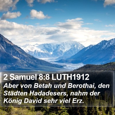 2 Samuel 8:8 LUTH1912 Bible Verse Image