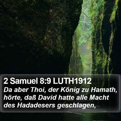 2 Samuel 8:9 LUTH1912 Bible Verse Image