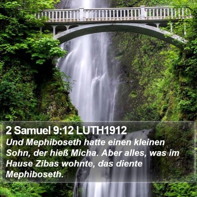 2 Samuel 9:12 LUTH1912 Bible Verse Image