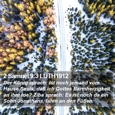 2 Samuel 9:3 LUTH1912 Bible Verse Image