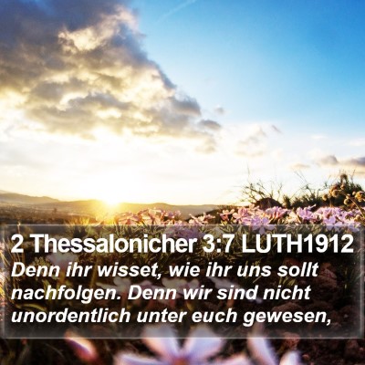 2 Thessalonicher 3:7 LUTH1912 Bible Verse Image