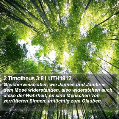 2 Timotheus 3:8 LUTH1912 Bible Verse Image