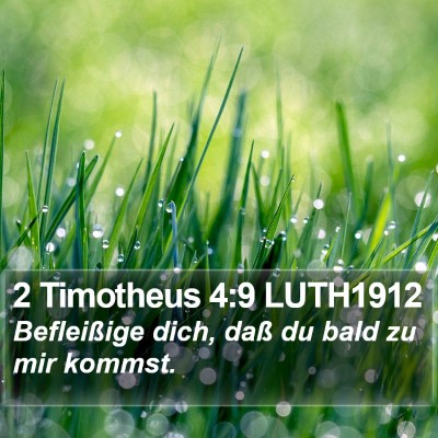 2 Timotheus 4:9 LUTH1912 Bible Verse Image