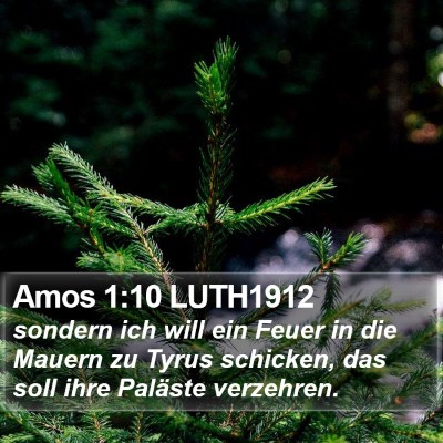 Amos 1:10 LUTH1912 Bible Verse Image