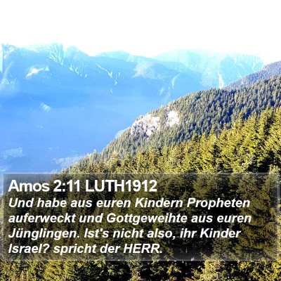 Amos 2:11 LUTH1912 Bible Verse Image