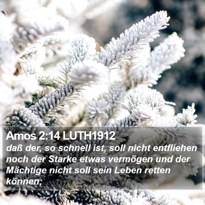 Amos 2:14 LUTH1912 Bible Verse Image