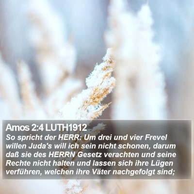 Amos 2:4 LUTH1912 Bible Verse Image