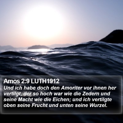 Amos 2:9 LUTH1912 Bible Verse Image