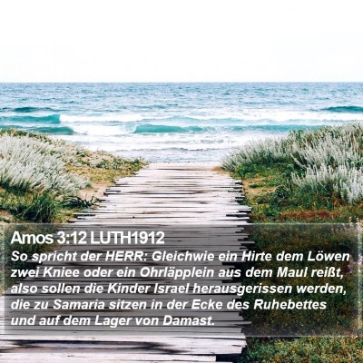 Amos 3:12 LUTH1912 Bible Verse Image