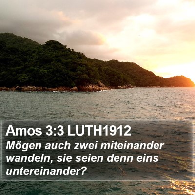 Amos 3:3 LUTH1912 Bible Verse Image