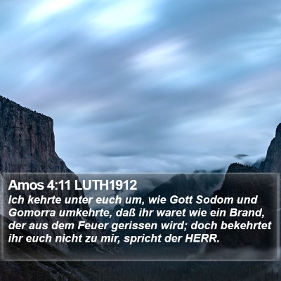 Amos 4:11 LUTH1912 Bible Verse Image