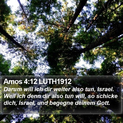 Amos 4:12 LUTH1912 Bible Verse Image