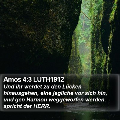 Amos 4:3 LUTH1912 Bible Verse Image