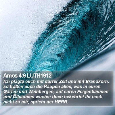 Amos 4:9 LUTH1912 Bible Verse Image