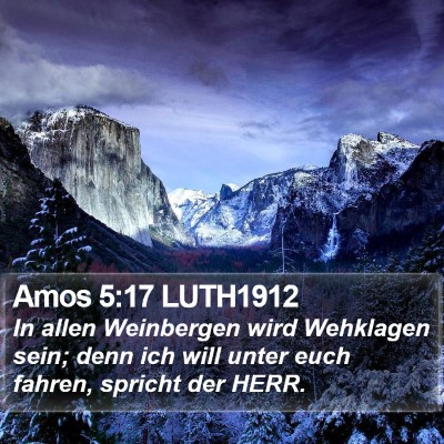 Amos 5:17 LUTH1912 Bible Verse Image