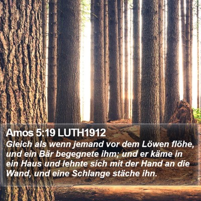 Amos 5:19 LUTH1912 Bible Verse Image