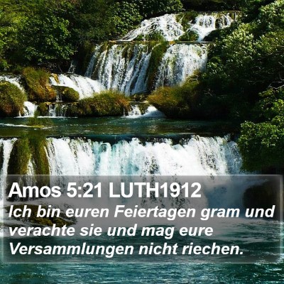 Amos 5:21 LUTH1912 Bible Verse Image