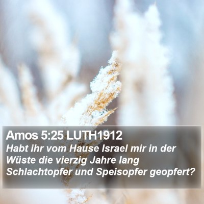 Amos 5:25 LUTH1912 Bible Verse Image