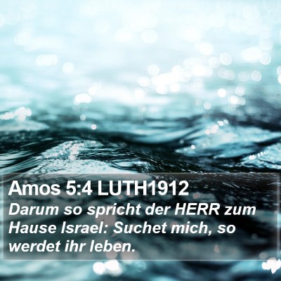 Amos 5:4 LUTH1912 Bible Verse Image