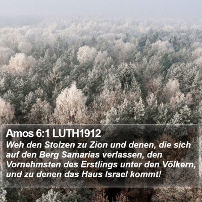 Amos 6:1 LUTH1912 Bible Verse Image