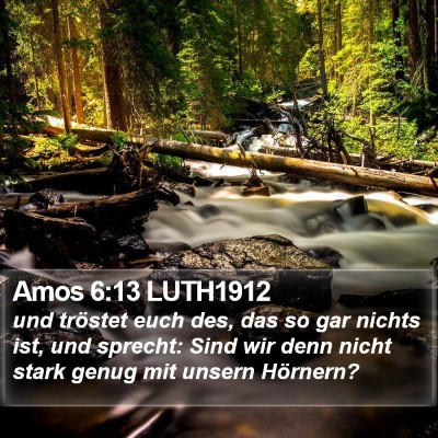 Amos 6:13 LUTH1912 Bible Verse Image