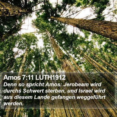 Amos 7:11 LUTH1912 Bible Verse Image
