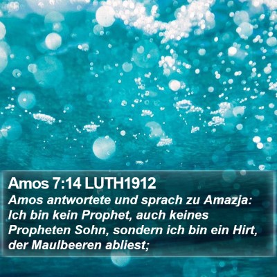 Amos 7:14 LUTH1912 Bible Verse Image