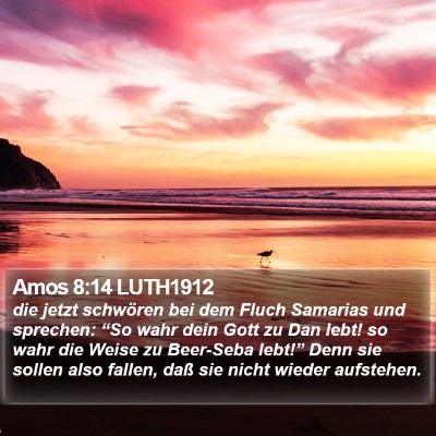 Amos 8:14 LUTH1912 Bible Verse Image