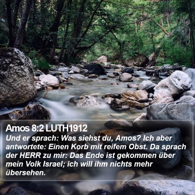 Amos 8:2 LUTH1912 Bible Verse Image