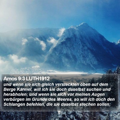 Amos 9:3 LUTH1912 Bible Verse Image