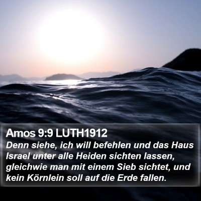 Amos 9:9 LUTH1912 Bible Verse Image