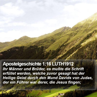 Apostelgeschichte 1:16 LUTH1912 Bible Verse Image