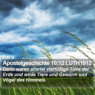 Apostelgeschichte 10:12 LUTH1912 Bible Verse Image