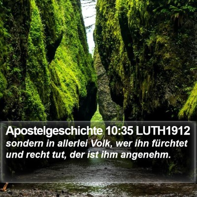 Apostelgeschichte 10:35 LUTH1912 Bible Verse Image
